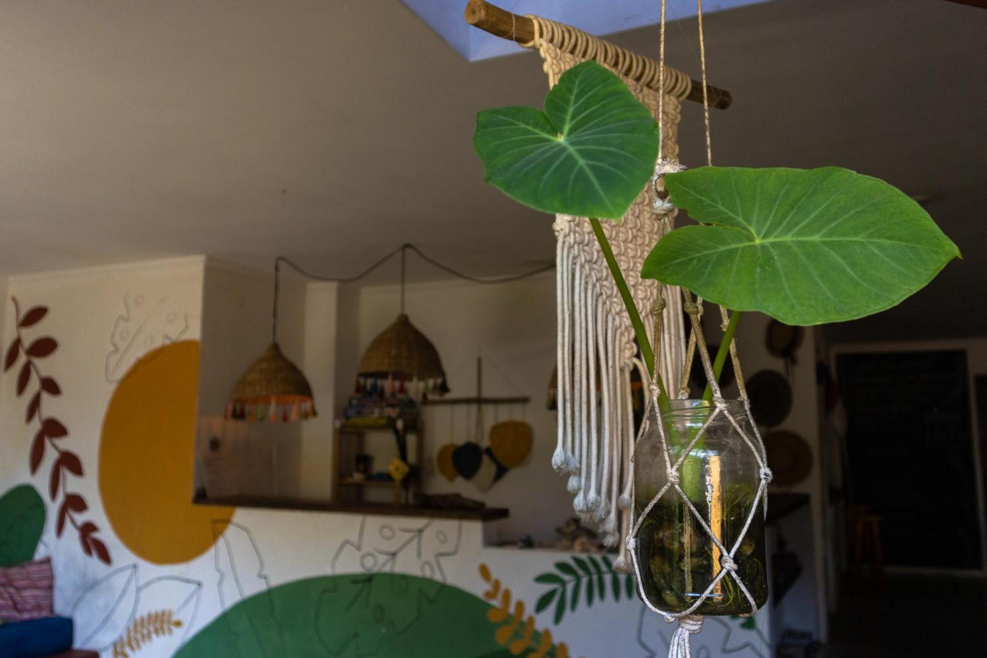Sambaqui Hostel イリャベラ エクステリア 写真